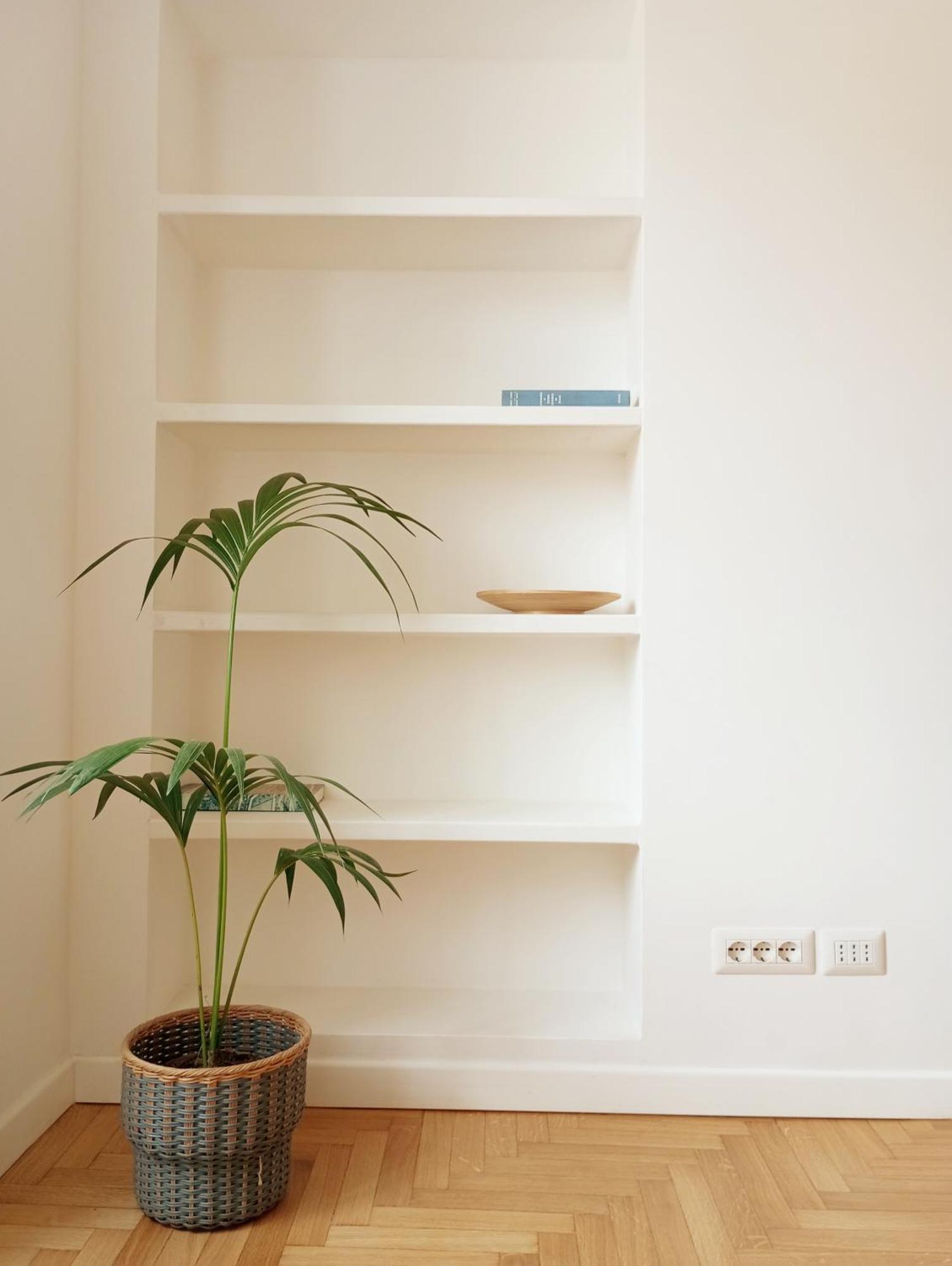 Apartment Flaminia71
